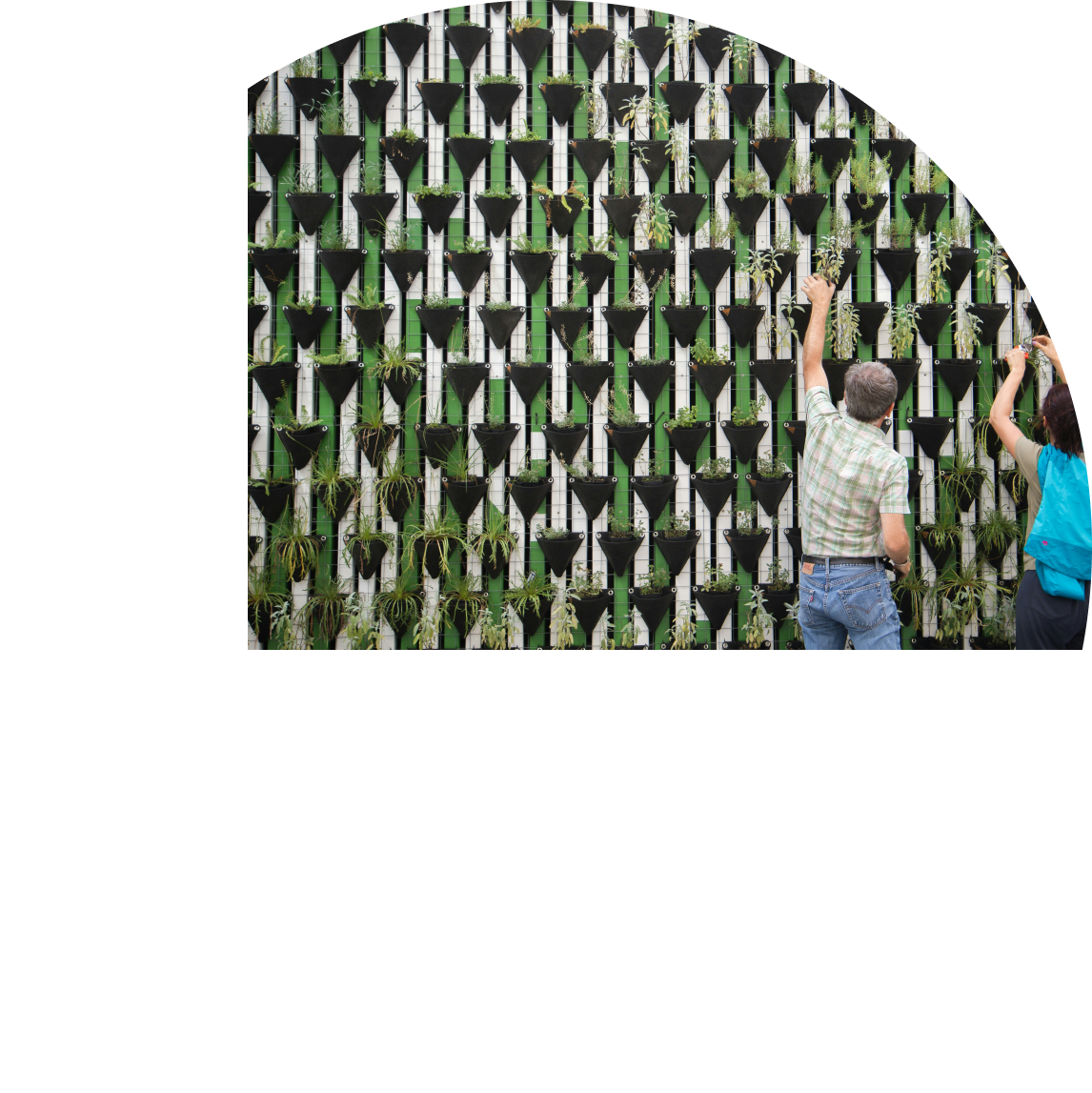 חוסן קהילתי